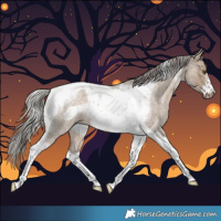 Horse Color:Silver Brown Roan Dun Tobiano Frame