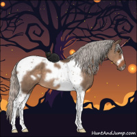 Horse Color:Silver Brown Roan Dun Tobiano Frame 