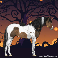 Horse Color:Gray Brown Dun Tobiano