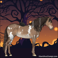 Horse Color:White Spotted Liver Red Dun 