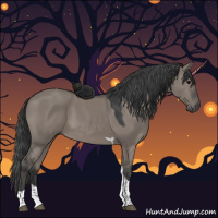 Horse Color:Grullo Tobiano 