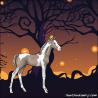 Horse Color:Silver Grullo Splash Tobiano Rabicano 