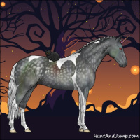 Horse Color:Silver Black Chinchilla Tobiano Rabicano