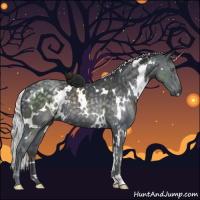 Horse Color:White Spotted Silver Black Chinchilla Rabicano 