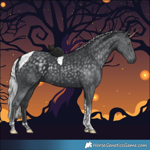 Horse Color:Silver Black Chinchilla Tobiano 