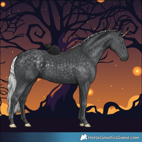 Horse Color:Silver Black Chinchilla Rabicano 