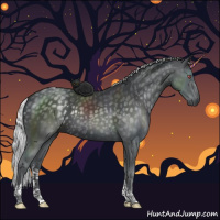 Horse Color:Silver Black Chinchilla Tobiano Rabicano 