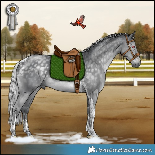 Horse Color:White Spotted Silver Black Chinchilla Tobiano Rabicano 