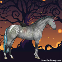 Horse Color:Painted Silver Black Chinchilla Tobiano Rabicano 
