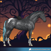 Horse Color:Painted Silver Black Chinchilla Tobiano Rabicano 