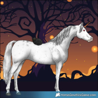 Horse Color:White Spotted Silver Grullo Chinchilla Sabino Rabicano