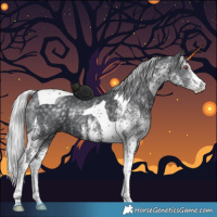 Horse Color:White Spotted Silver Black Chinchilla Tobiano Rabicano 