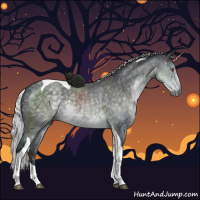 Horse Color:Silver Black Chinchilla Tobiano Rabicano