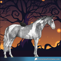 Horse Color:White Spotted Silver Black Chinchilla Tobiano Rabicano