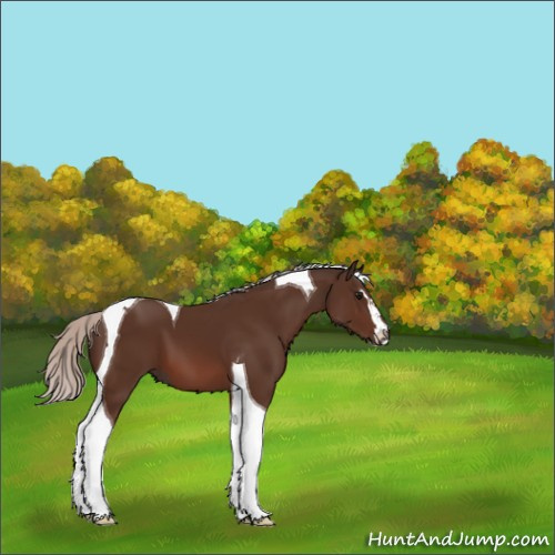 Horse Color:Silver Brown Sabino Tobiano 