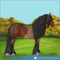 Horse Color:Brown Dun  and Brown 