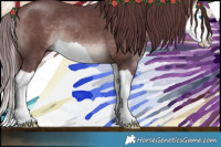 Horse Color:Platinum Chocolate Brown Splash 