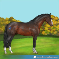 Horse Color:Brown 