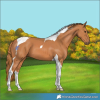 Horse Color:Chestnut Tobiano 