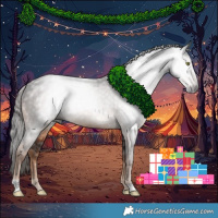 Horse Color:Gray Liver Chestnut 