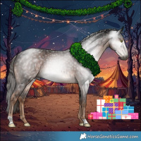 Horse Color:Gray Liver Chestnut