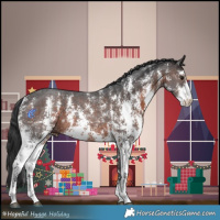 Horse Color:Brown Sabino 