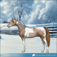 Horse Color:Gray Smoky Black Pearl Tobiano 