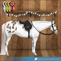 Horse Color:Liver Red Dun Appaloosa Brindle