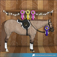 Horse Color:Liver Red Dun Brindle 