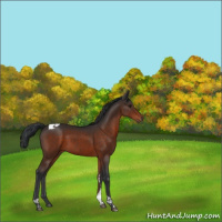 Horse Color:Brown Tobiano