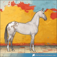 Horse Color:Liver Red Dun Appaloosa Brindle