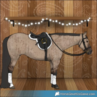 Horse Color:Liver Red Dun Brindle 