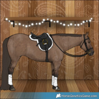 Horse Color:Liver Red Dun Brindle 