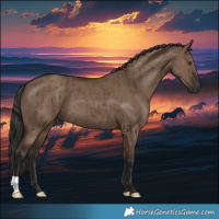 Horse Color:Liver Red Dun Brindle 