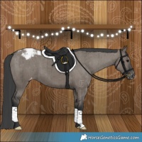 Horse Color:Grullo Varnish Brindle 