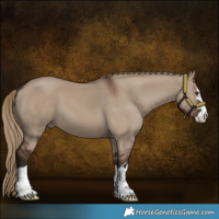 Horse Color:Liver Red Dun 