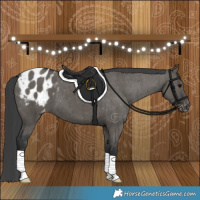 Horse Color:Grullo Varnish Brindle 