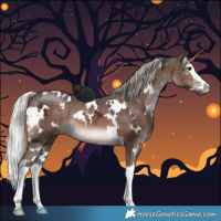 Horse Color:White Spotted Silver Brown Ice Splash 