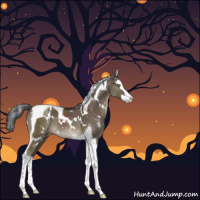 Horse Color:White Spotted Brown Dun Splash Tobiano