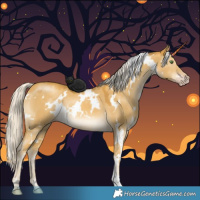 Horse Color:White Spotted Silver Classic Cream Champagne Dun