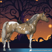 Horse Color:White Spotted Silver Buckskin Dun Tobiano 