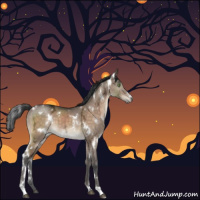Horse Color:White Spotted Brown Ice Dun 