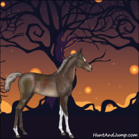 Horse Color:Silver Brown Sabino Tobiano Rabicano