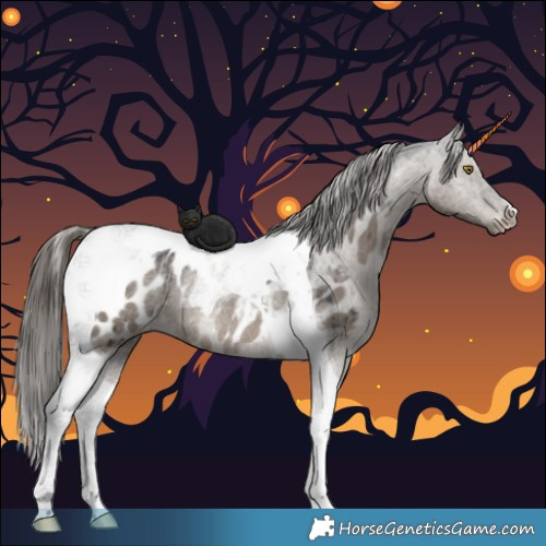Horse Color:Smoky Grullo Tobiano Appaloosa Rabicano Brindle 