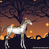 Horse Color:White Spotted Liver Red Dun Frame Rabicano 