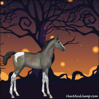 Horse Color:Grullo Sabino Tobiano 