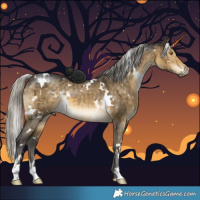 Horse Color:White Spotted Silver Buckskin Dun Brindle