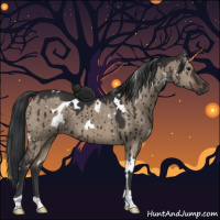 Horse Color:White Spotted Brown Dun Brindle