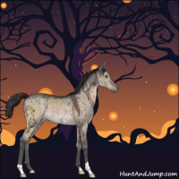 Horse Color:Brown Ice Dun Brindle