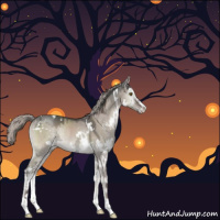 Horse Color:White Spotted Silver Grullo Ice Onyx Sabino Rabicano 